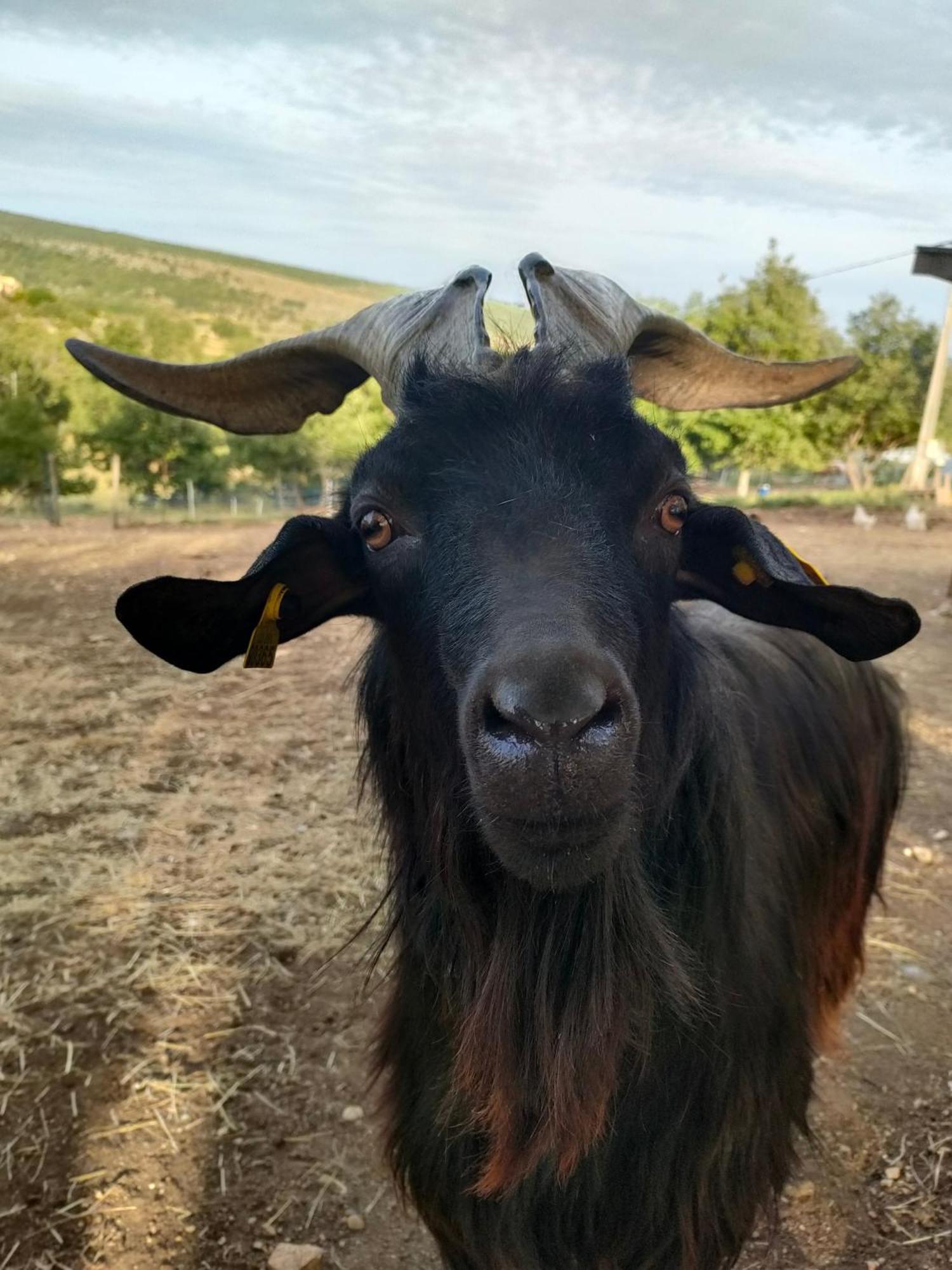 Gite A La Ferme Ongles Exterior foto