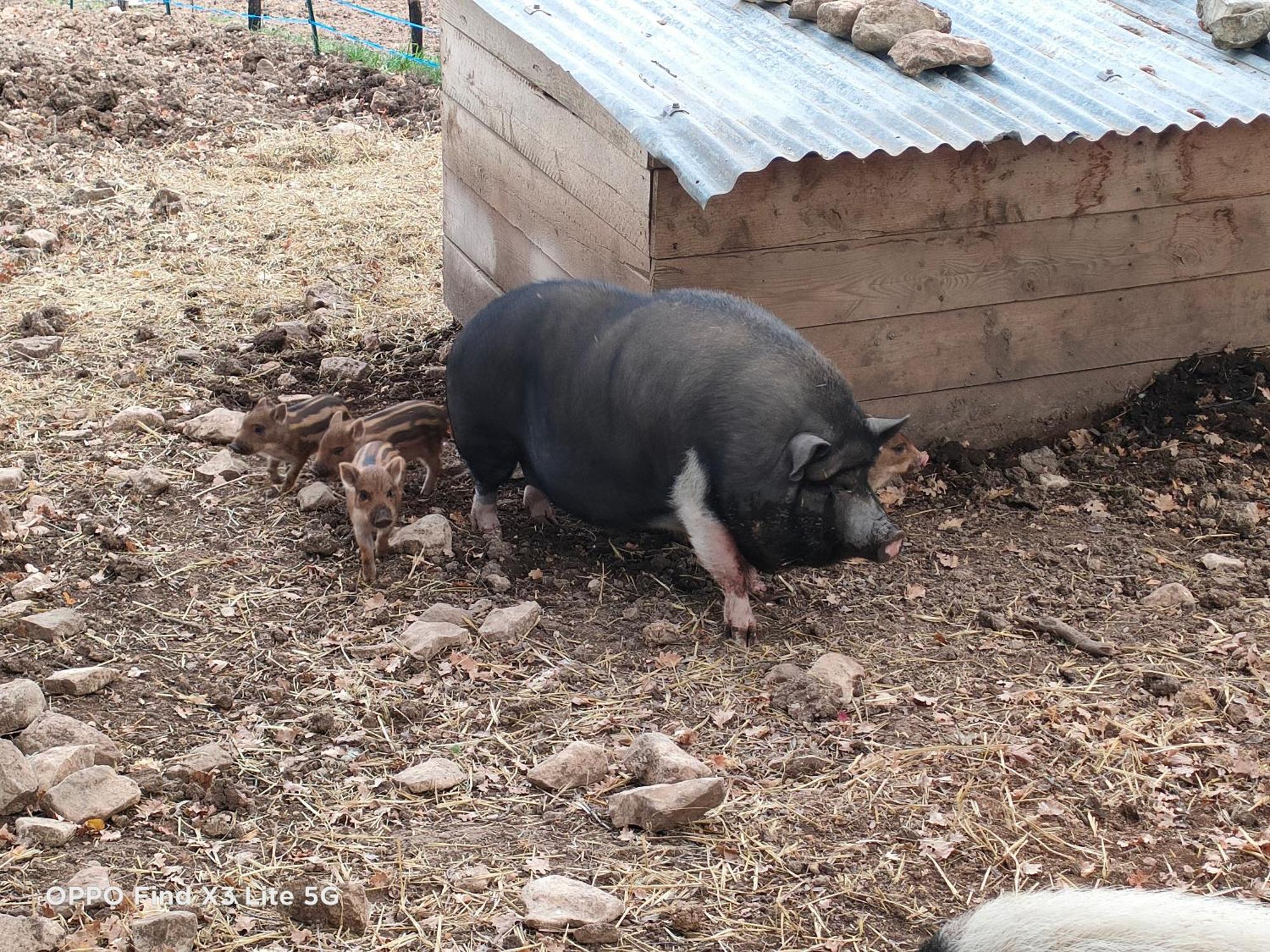 Gite A La Ferme Ongles Exterior foto