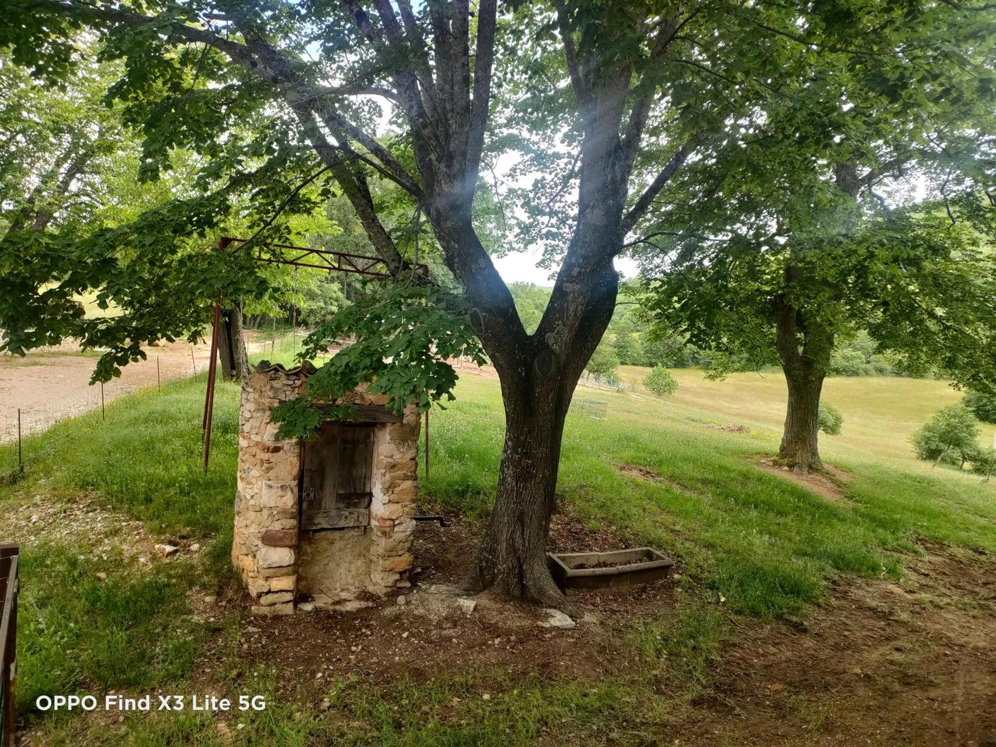 Gite A La Ferme Ongles Exterior foto