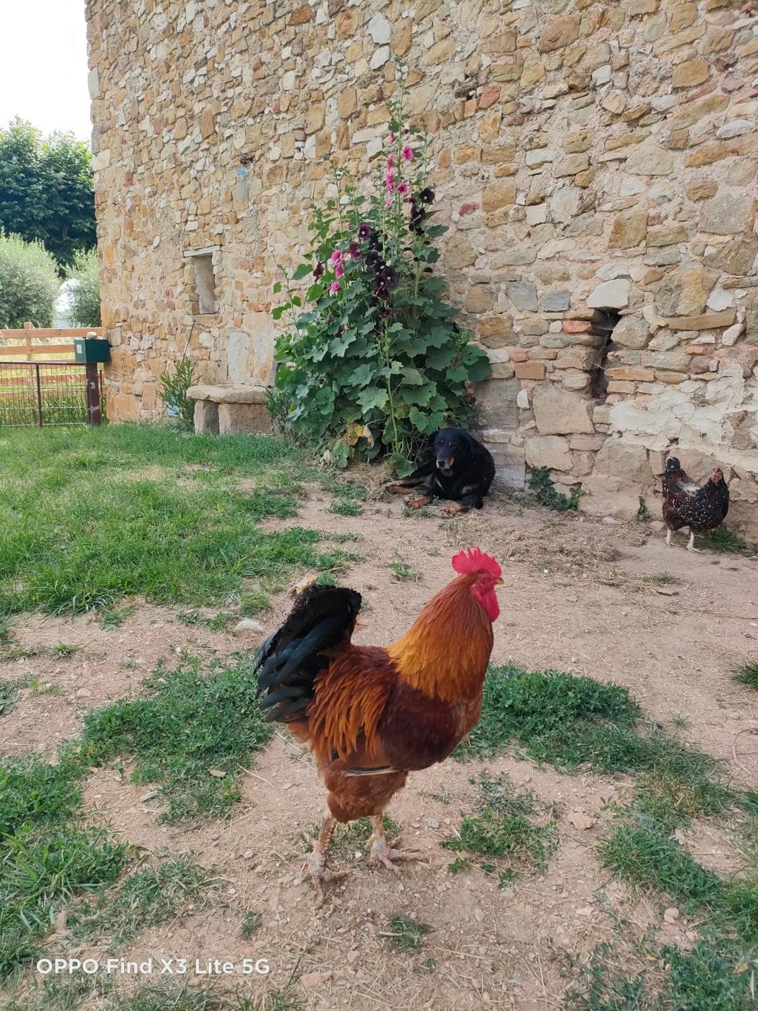 Gite A La Ferme Ongles Exterior foto